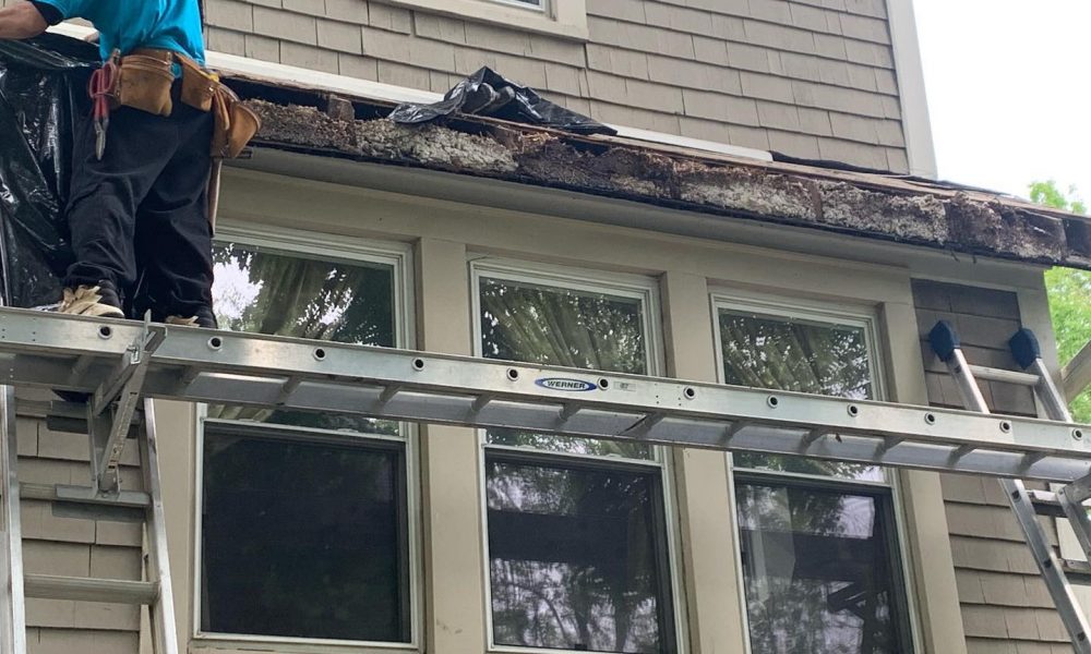 101048388_194653494966974_2039933829453010167_n