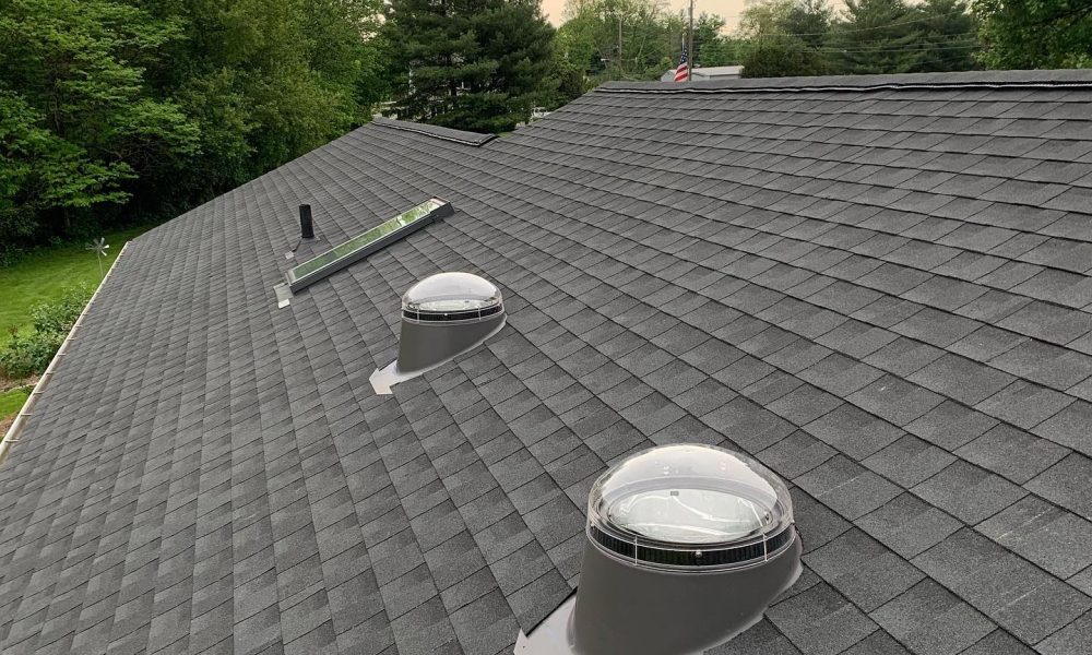 58870411_602090733626053_1606055099862270479_n